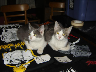 Pete and Bruce, righteous dudes...